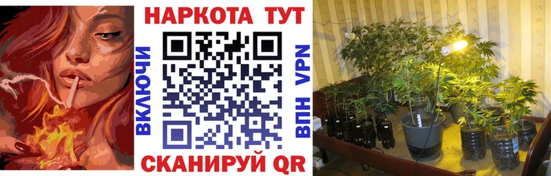 Купить наркотики Нерчинск Гашиш  Каннабис  Альфа ПВП  Псилоцибиновые грибы  Мефедрон 