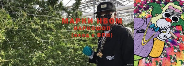 MESCALINE Нефтекумск