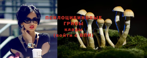 первитин Щигры