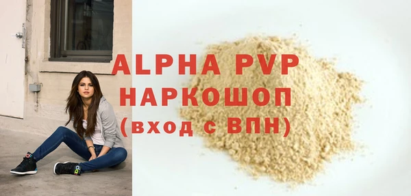 дживик Надым