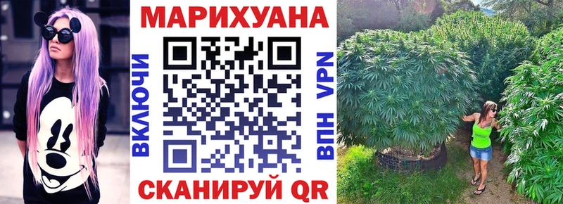 omg ссылка  Нерчинск  Бошки марихуана планчик 